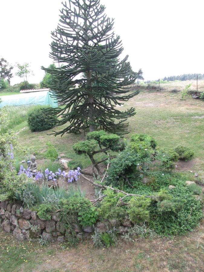 Bed and Breakfast Chez Sophie Et Gilles Monistrol-sur-Loire Exterior foto